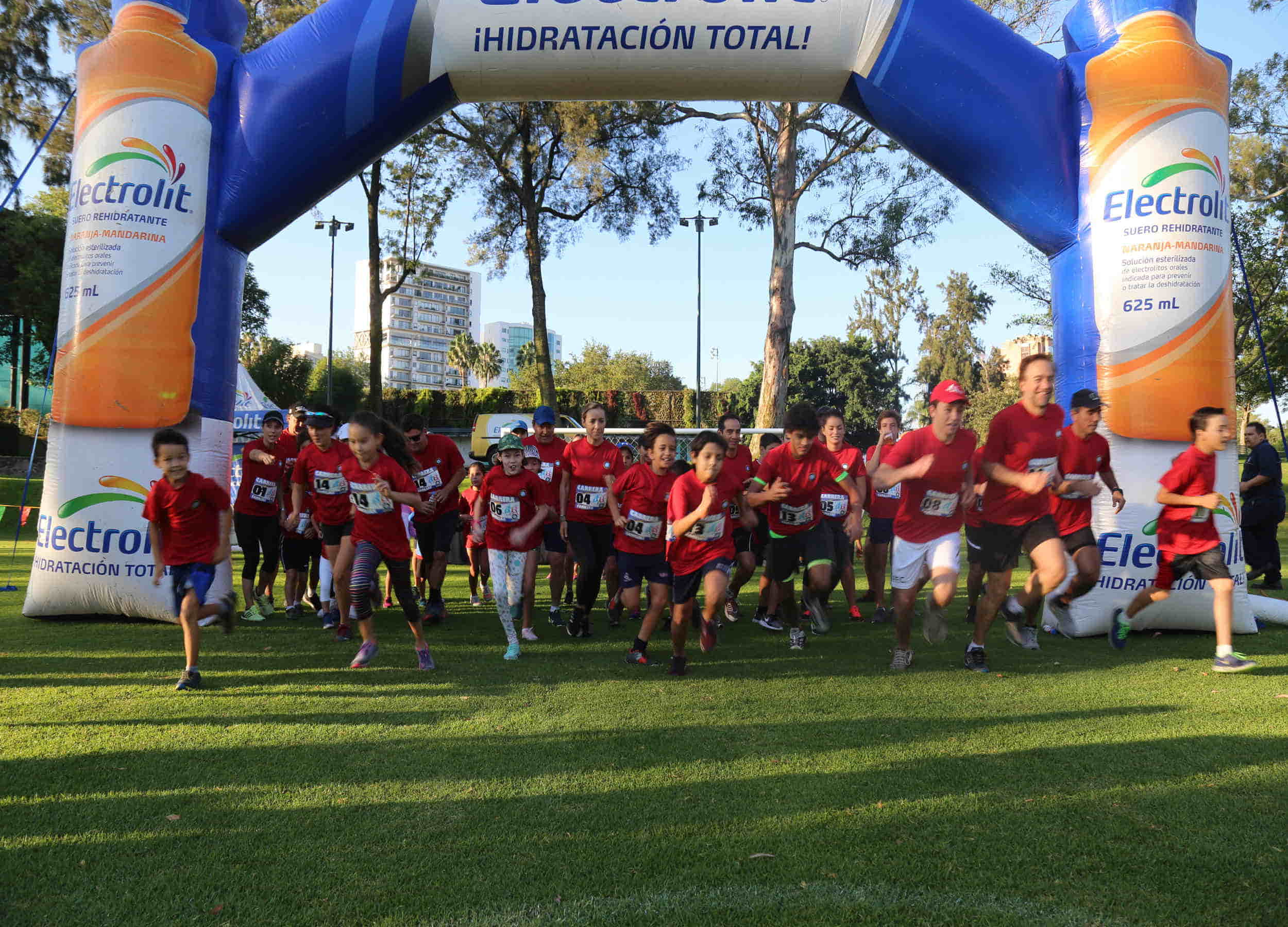 Foto 6
