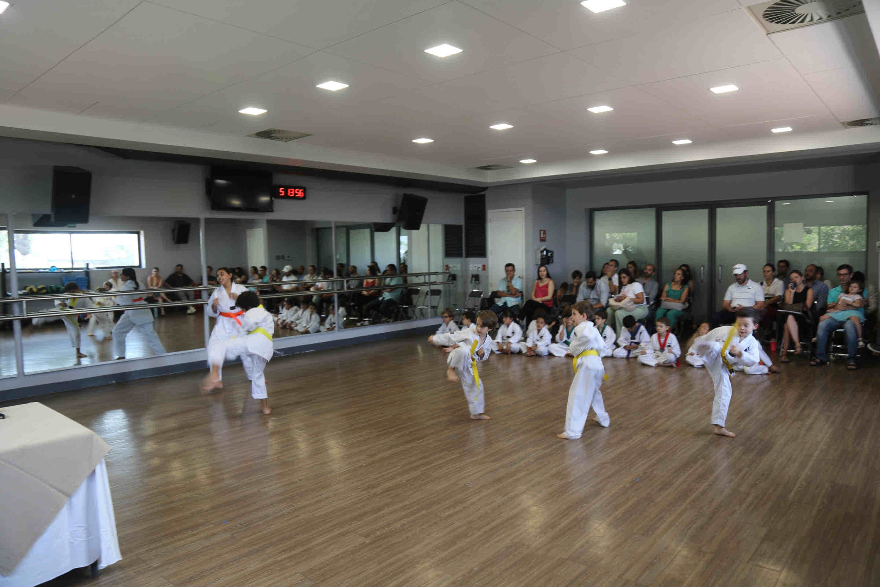 Foto 8