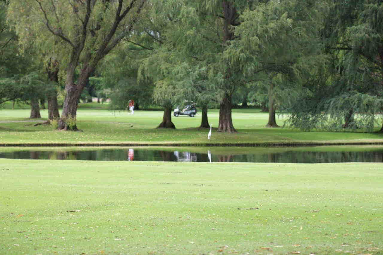 Foto 17