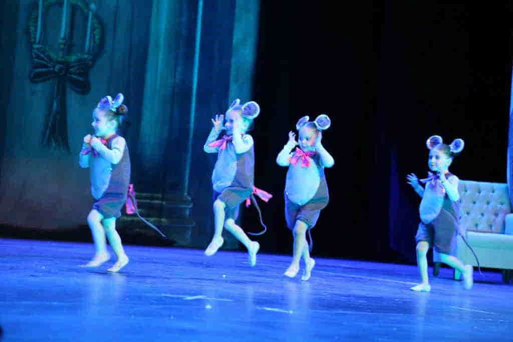 Foto 8
