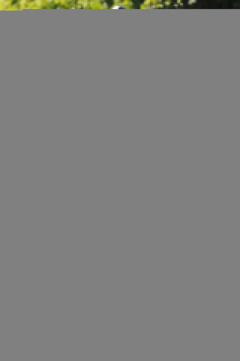 _fg_6991_1280x1920_480x720