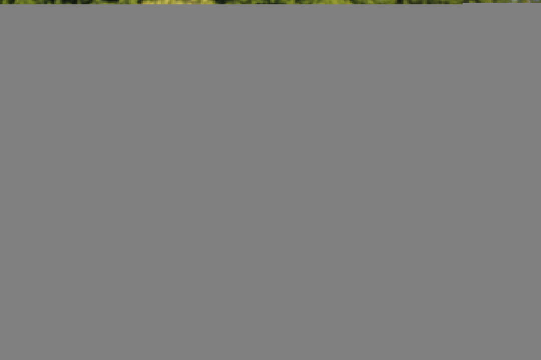 _fg_7307_2880x1920_1080x720